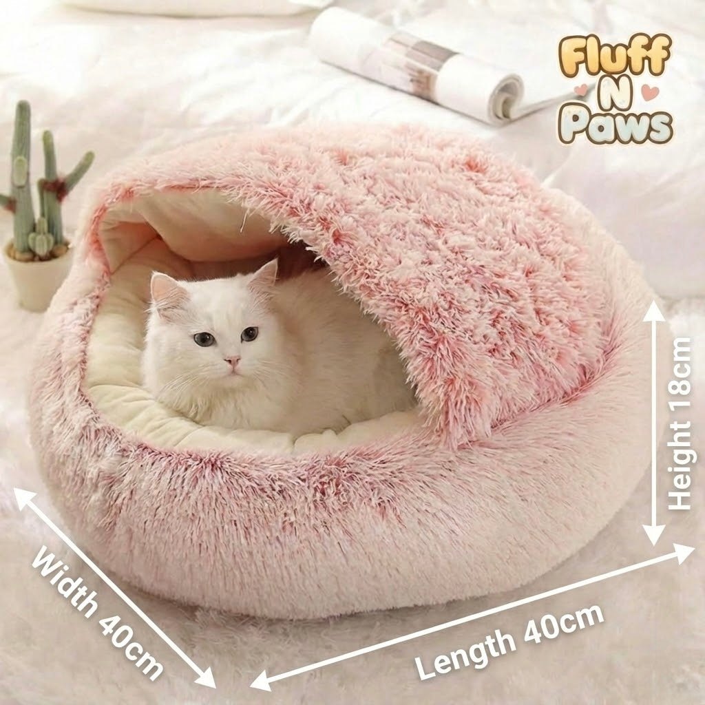 Shell Bed