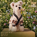 Teddy Beige Sweater