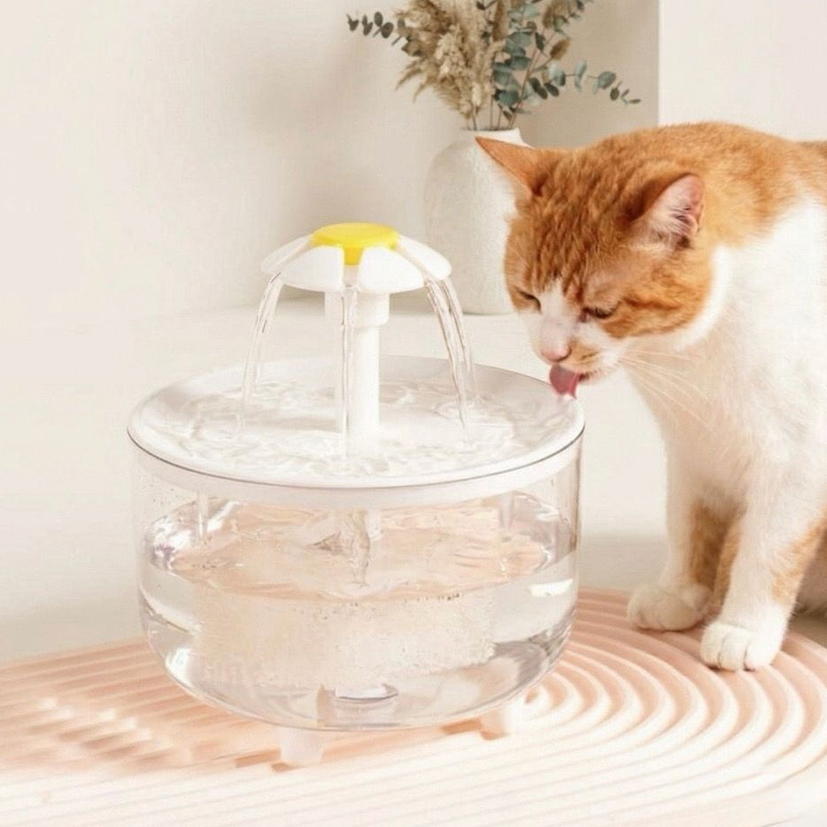 Spring Water Fountain