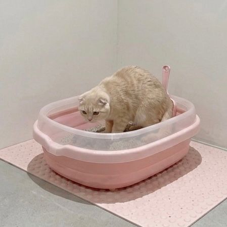 Litter Box & Shovel