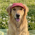 Summer Cap